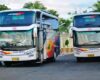 Harga Tiket Bus Laju Prima Lebaran Terbaru Rute dan Jadwal Jam Keberangkatan